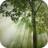 icon Forest Wallpapers(Wallpaper Hutan) 1.0