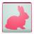 icon Bunny Free 2.1