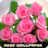 icon Rose Wallpapers(Bunga mawar Wallpaper V2) 2.0.2