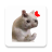 icon Stickers Cats Memes() 2.0.1