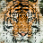 icon Puzzle Zoo(Kebun Binatang Puzzle) 1.2