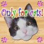 icon Only for Cats(Hanya untuk Kucing)