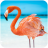 icon The Flamingo(The Flamingo
) 1.0.9