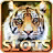 icon Wild Cats Slots(Mesin Slot: Kucing Liar Pernah Bertanggung Jawab - Kalahkan KolEm) 1.4
