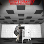 icon Silent Insanity P.T. (Silent Insanity PT)