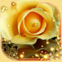 icon Roses Gallery(Roses Gallery Live Wallpaper)