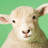 icon Sheep Sounds(Suara Domba) 3.0.1