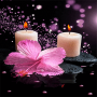 icon Pink Flower Candle LWP(Lilin Bunga Merah Muda LWP)