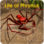 icon Life of Phrynus(Kehidupan Phrynus - Whip Spider)