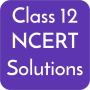 icon Class 12 NCERT Solutions (Kelas 12 Solusi NCERT)