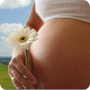 icon ru.fedr.pregnancy(Kalender Kehamilan)