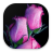 icon com.app.flowers(Sweet love flowers, Roses Live Wallpapers, GIF / 4K
) 10.1.7