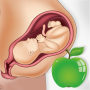 icon Pregnancy Care Diet & Nutrition(Tips Kehamilan Nutrisi Diet)