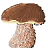 icon Mushroomizer(Mushroomizer
) 3.0.13