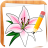 icon Draw Flowers(Bagaimana Menggambar Bunga) 5.2