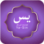 icon Surah Yasin(Surah Yaseen dengan Urdu/Arabic)