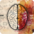 icon 2.8.6