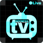 icon INDONESIA TV()