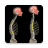 icon Kyphosis(Kyphosis Rounded Back by Muscle and Motion
) 1.2.1