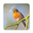 icon Sounds of birds. Songs and bird tones() 1.19