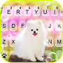 icon Cute White Dog(Latar Belakang Keyboard Anjing Putih
)
