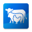 icon 20.0.3