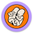 icon Pohoda(Festival Pohoda) 2.0.6