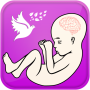 icon Pregnancy Guide (Panduan Kehamilan)