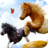 icon My Pony Horse Riding(My Pony Horse Riding Game Gratis) 2.11.3