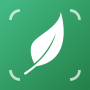 icon Lily - Plant Identification (Lily - Identifikasi Tanaman
)