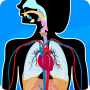 icon Human Anatomy - Body parts ()