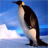 icon Penguin Jigsaw Puzzles(Teka-teki Penguin Jigsaw) 2.9.41