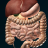 icon Organs 3D Anatomy(Organ Internal dalam 3D Anatomy) 2.9.3