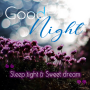icon Good Night(Selamat malam)