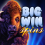icon Big Wins Spins(Kemenangan Besar Memutar
)