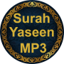 icon Surah Yaseen(Surah Yaseen Dengarkan dan Baca)