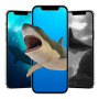 icon shark wallpaper(wallpaper Hiu SweatCoin)