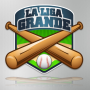 icon com.sanuma.laliga(Liga Besar: Baseball)
