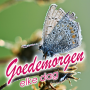 icon Goedemorgen elke dag(Selamat Pagi Setiap Hari Salam dalam bahasa Belanda
)
