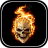 icon Skulls Live Wallpaper(Tengkorak Gambar Animasi) 1.0.4