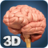 icon Brain Anatomy Pro(Brain Anatomy Pro.) 2.2
