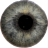 icon Eye Diagnosis(Diagnosis Mata) 1.4.6