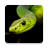 icon Snake Wallpapers(Wallpaper Ular) 4.0.snake