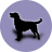icon Dog(Dog Breeds) 2.6.3