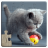 icon Cat Puzzles(Cats Jigsaw Puzzle Game Kids) 31.0