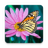 icon Butterflies Live Wallpaper(Kupu-kupu wallpaper hidup) 1.0.9