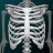 icon Human skeleton Anatomy(Sistem Osseous dalam 3D (Anatomi)) 3.5.4