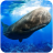 icon The Sperm Whale(Paus Sperma
) 1.0.1