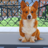 icon Animal Shelter: Pet Rescue Sim(Penampungan Hewan: Penyelamatan Hewan Peliharaan 3D) 1.9