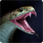 icon Snake Wallpapers(Wallpaper Ular) 1.0.snake